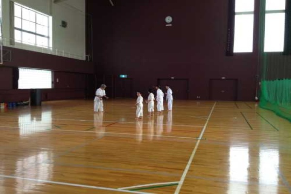 Children play karate.