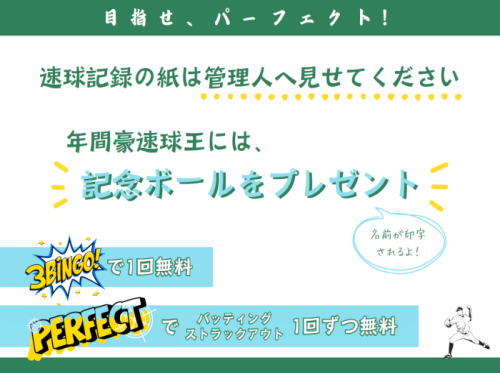 速球王チラシ
