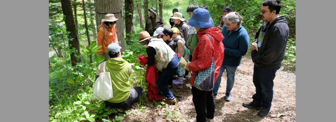 5月24日に西興部宮の森森林公園で開催された「春の宮の森自然観察会」の様子